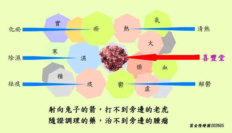 射向兔子的藥，打不到旁邊的老虎，隨證調理的藥，治不到旁邊的腫瘤
