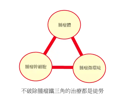腫瘤鐵三角：樹幹+樹根+土壤，惡性腫瘤是由腫瘤體、腫瘤幹細胞和腫瘤微環境共同組成的叛亂集團